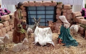 20131224_105246